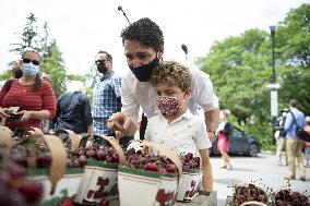 Justin Trudeau And Wife  At The Parkdale Public Market - Ottawa