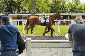 Grand Prix De Saint-Cloud