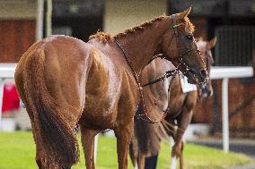 Grand Prix De Saint-Cloud