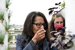 Audrey Pulvar visits Réunion des Musees Nationaux - Bercy