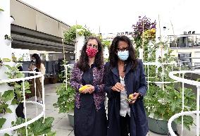 Audrey Pulvar visits Réunion des Musees Nationaux - Bercy