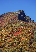 Autumn leaves in northern Japan mountains