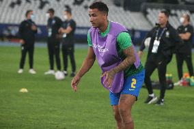 Copa America - Brazil v Peru