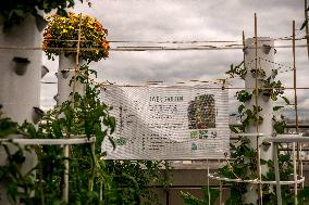 Audrey Pulvar Inaugurates A Roof Farm - Paris