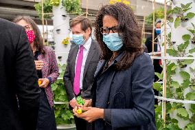 Audrey Pulvar Inaugurates A Roof Farm - Paris