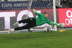 Copa America - Brazil v Peru