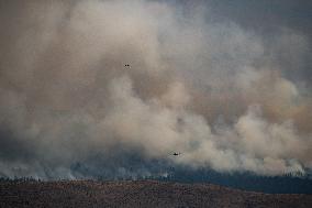 Tremont Creek Wildfire Burning In BC - Canada