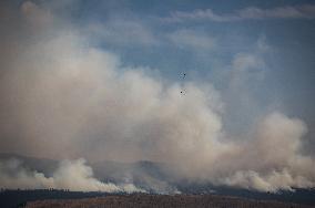 Tremont Creek Wildfire Burning In BC - Canada