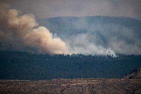 Tremont Creek Wildfire Burning In BC - Canada