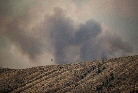 Tremont Creek Wildfire Burning In BC - Canada