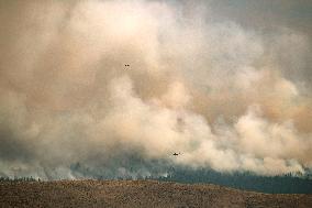 Wildfires in British Columbia - Canada