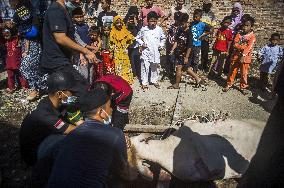 Muslims Celebrate Eid al-Adha - Indonesia