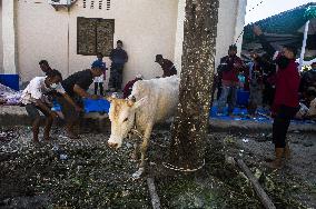 Muslims Celebrate Eid al-Adha - Indonesia