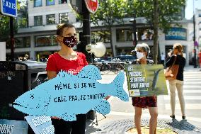 Paris Animaux Zoopolis Protests outside Decathlon store