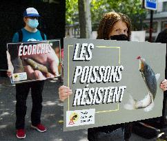 Paris Animaux Zoopolis Protests outside Decathlon store