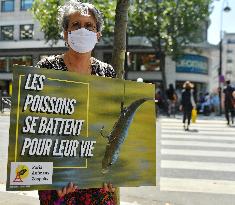 Paris Animaux Zoopolis Protests outside Decathlon store