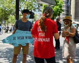 Paris Animaux Zoopolis Protests outside Decathlon store