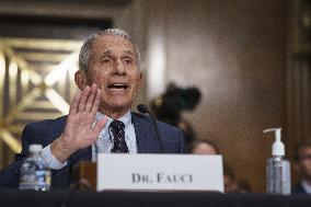 Fauci and Walensky Testify on Covid at Senate committee Hearing