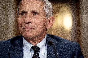 Fauci and Walensky Testify on Covid at Senate committee Hearing