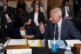 Fauci and Walensky Testify on Covid at Senate committee Hearing