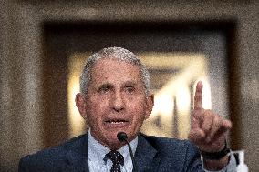 Fauci and Walensky Testify on Covid at Senate committee Hearing