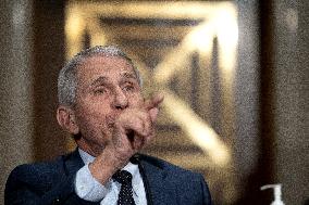 Fauci and Walensky Testify on Covid at Senate committee Hearing