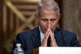 Fauci and Walensky Testify on Covid at Senate committee Hearing