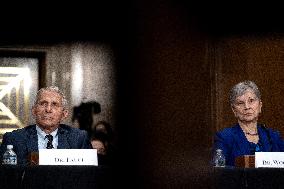 Fauci and Walensky Testify on Covid at Senate committee Hearing