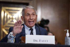 Anthony Fauci Testifies At The Senate - Washington