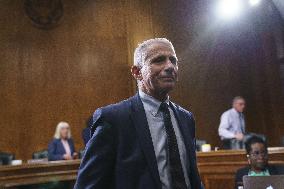 Anthony Fauci Testifies At The Senate - Washington