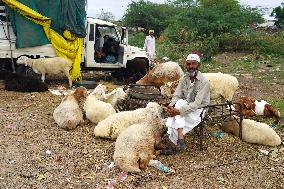 Eid al-Adha Preparations - Rajasthan