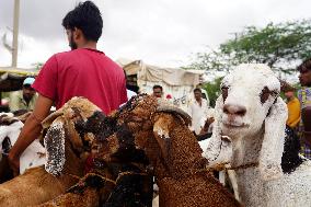 Eid al-Adha Preparations - Rajasthan