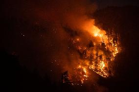 California wildfires