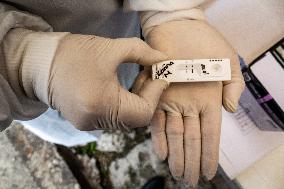 Covid-19 Rural Vaccination And Testing In Colombia