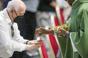 Mass on the occasion of Grandparents' and elderly World Day