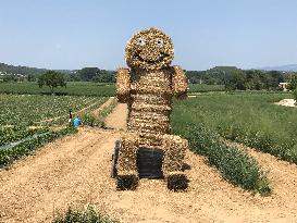 Artwork With Hay Bales - France