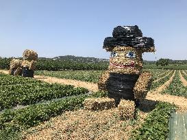 Artwork With Hay Bales - France