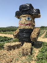 Artwork With Hay Bales - France