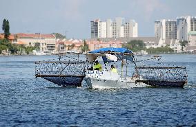 800 tons of dead fish on Florida beaches blamed on toxic red tide