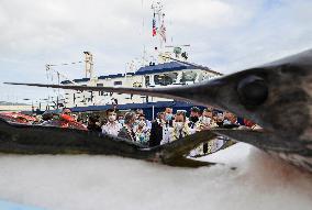 President Macron Visit To Papeete's Harbour