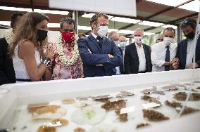 President Macron Visitt To The Criobe Environmental Research Institute - Mo'orea Island