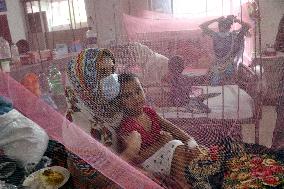 New Dengue Outbreak Infects Children In Bangladesh