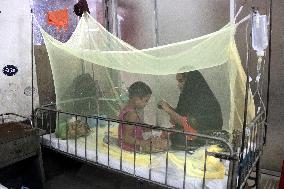 New Dengue Outbreak Infects Children In Bangladesh