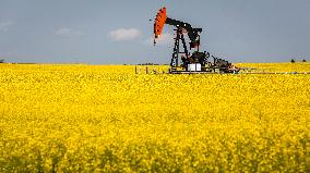 Oil drilling rig near the fields - Canada