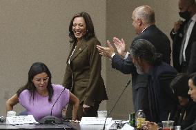 Vice President Kamala Harris speaks while meeting with Texas legislators