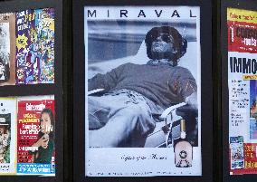 Brad Pitt's Wine Ad - St Tropez