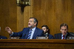 Senate Hearing - Washington