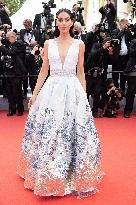 Cannes--France- Red Carpet-DN