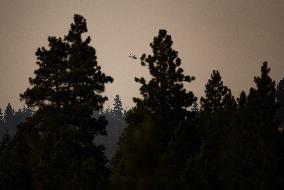 Smoke From Wildfires Burning In The Area Hangs In The Air - B.C