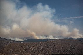 Tremont Creek Wildfire Burning In BC - Canada